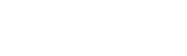 Visum Calc